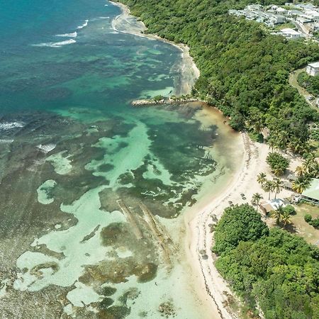 Apartmán Le Pti' Zandoli Anse Des Rochers Saint-Francois  Exteriér fotografie