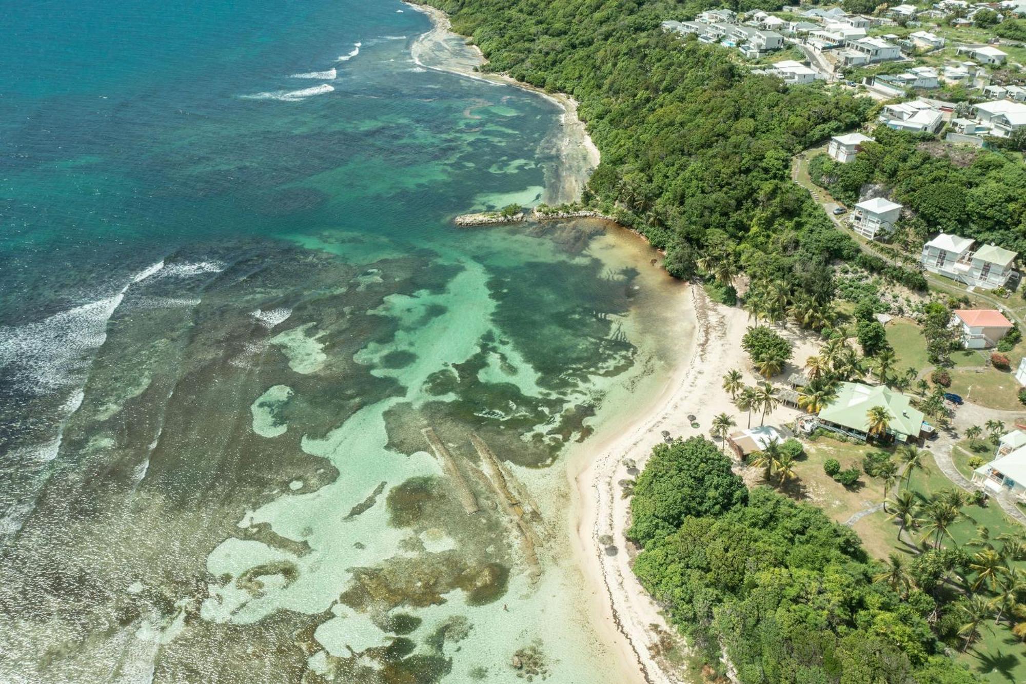 Apartmán Le Pti' Zandoli Anse Des Rochers Saint-Francois  Exteriér fotografie